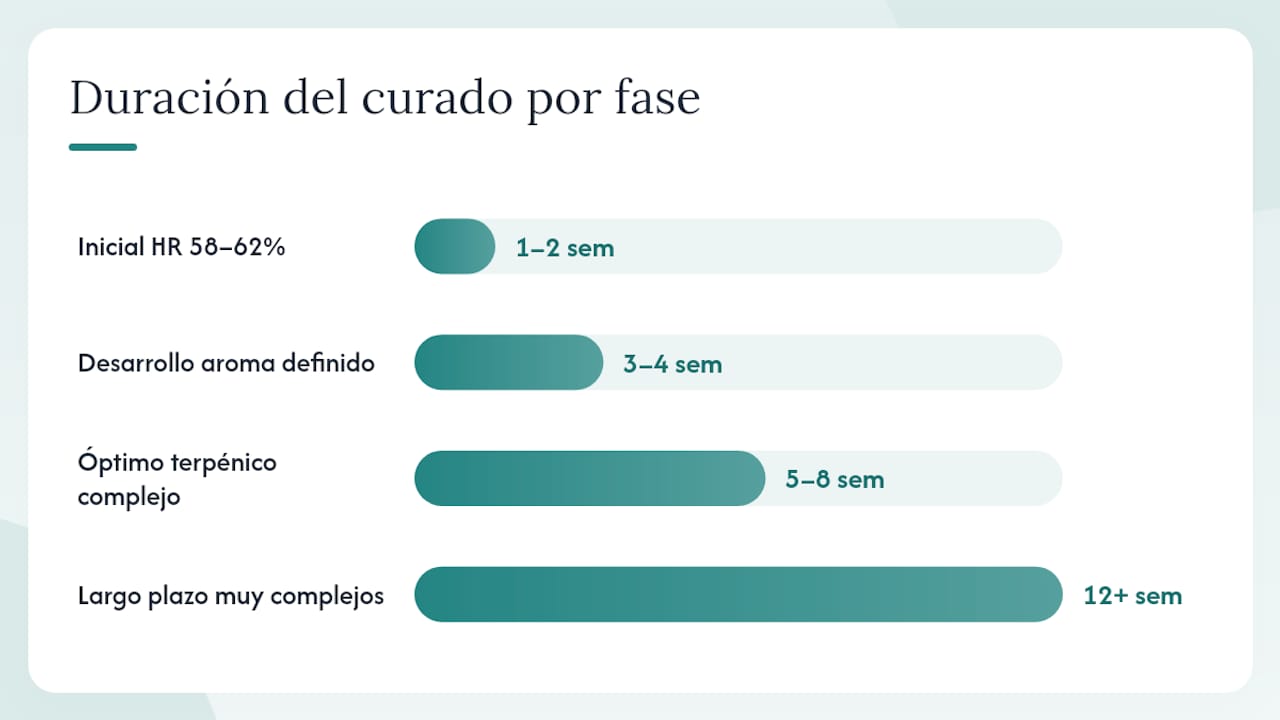 Calendario visual de las etapas de curado del cannabis