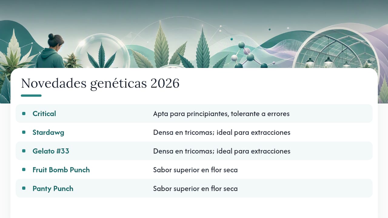 Comparativa de las últimas innovaciones genéticas en cannabis para 2026