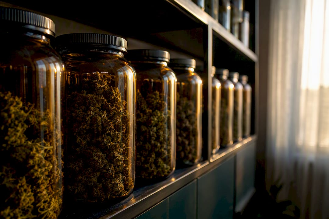 Frascos ámbar con flores de cannabis para su almacenamiento