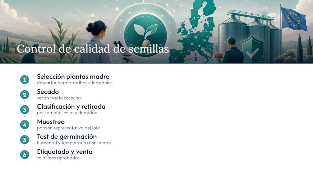Procedimiento de control de calidad de semillas