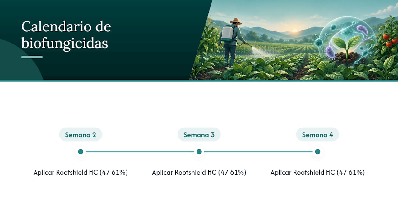 Calendario preventivo para reducir el moho
