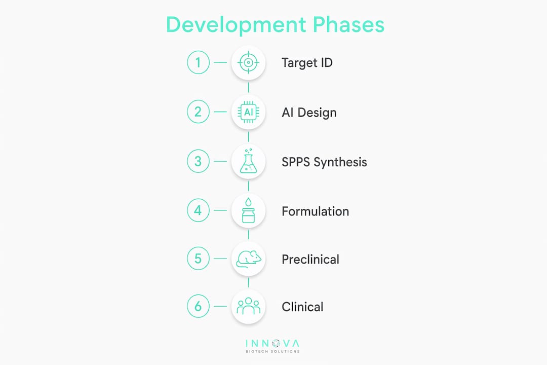 Infographic showing six numbered stages of peptide therapeutic development