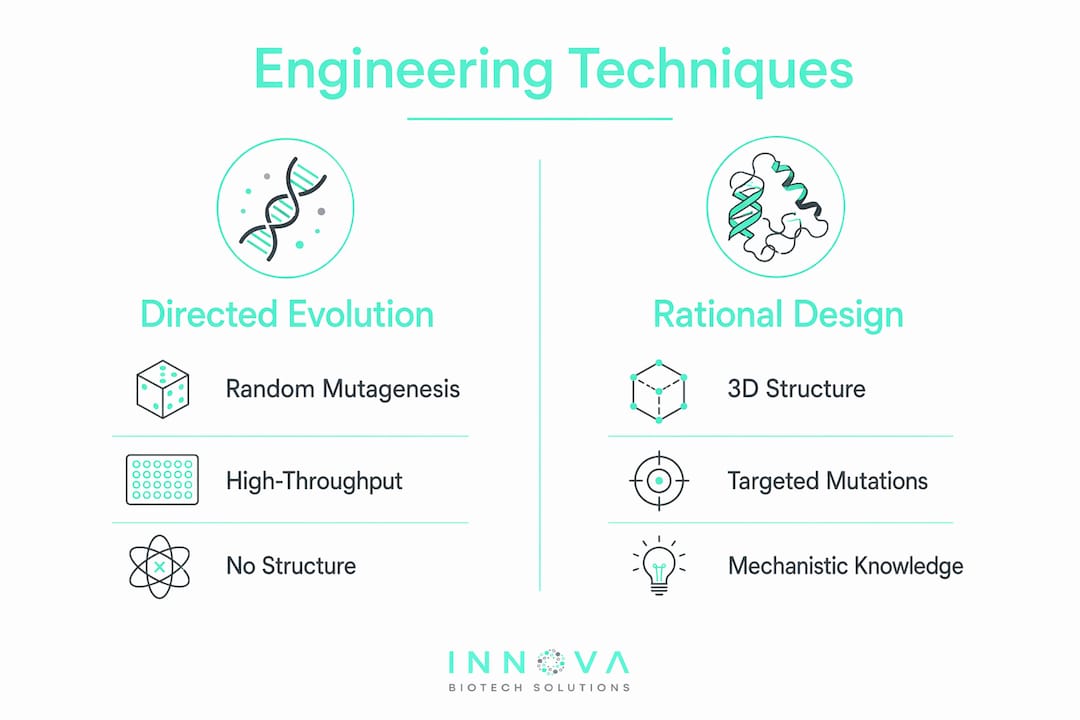 Infographic showing comparison of enzyme engineering techniques