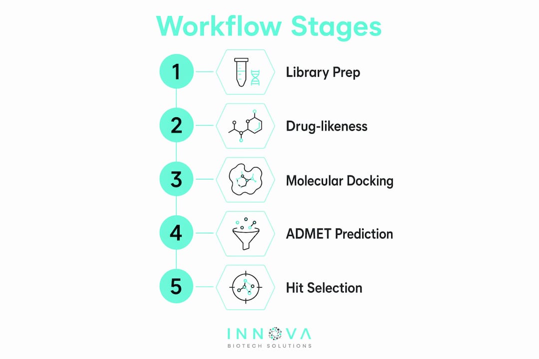 Infographic showing virtual screening workflow stages