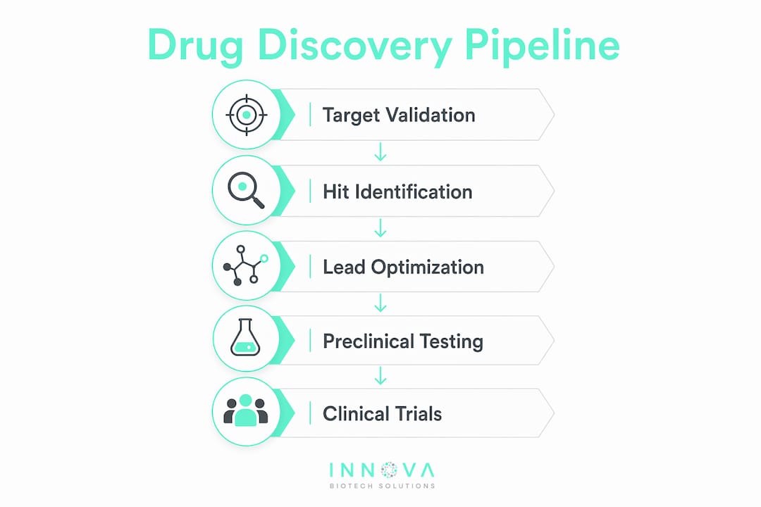 Infographic illustrating drug discovery stages