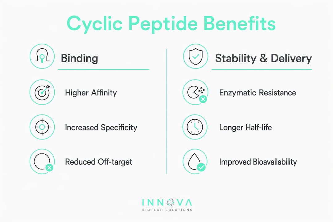 Infographic comparing cyclic peptide advantages