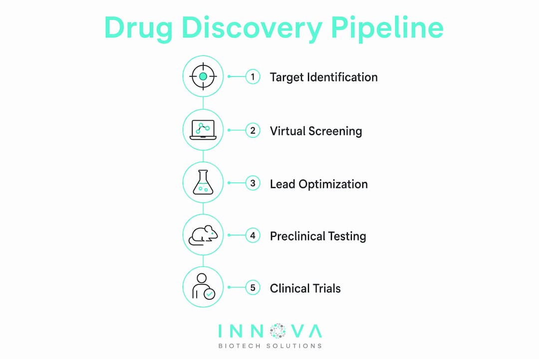 Infographic showing drug discovery pipeline steps