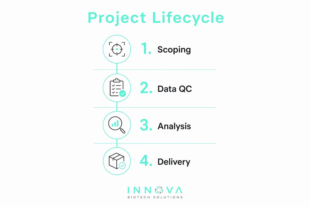 Infographic depicting four-phase bioinformatics project lifecycle