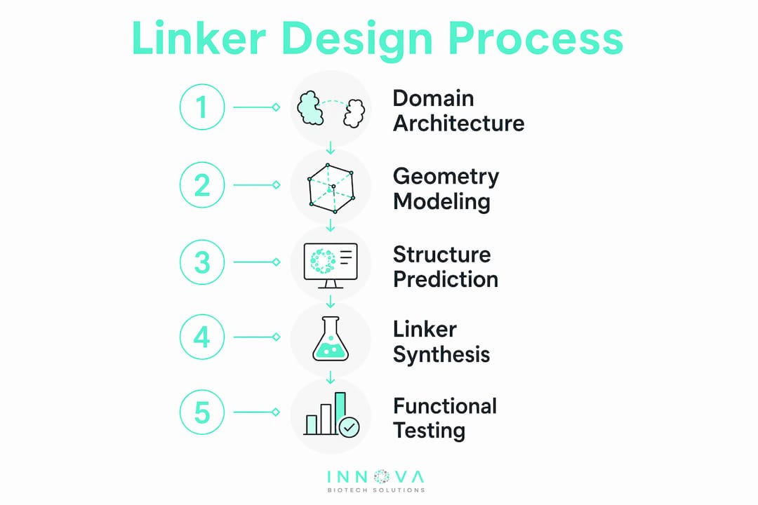 Infographic showing linker design process steps