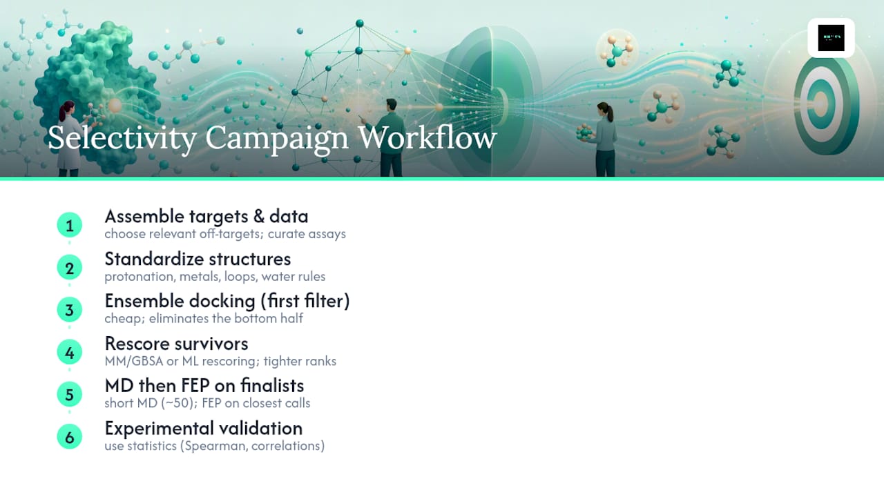 Seven-stage selectivity campaign workflow