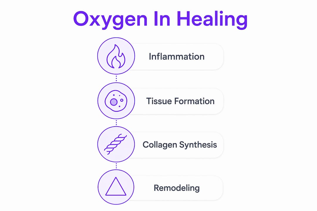 Infographic illustrating oxygen's role in wound healing stages