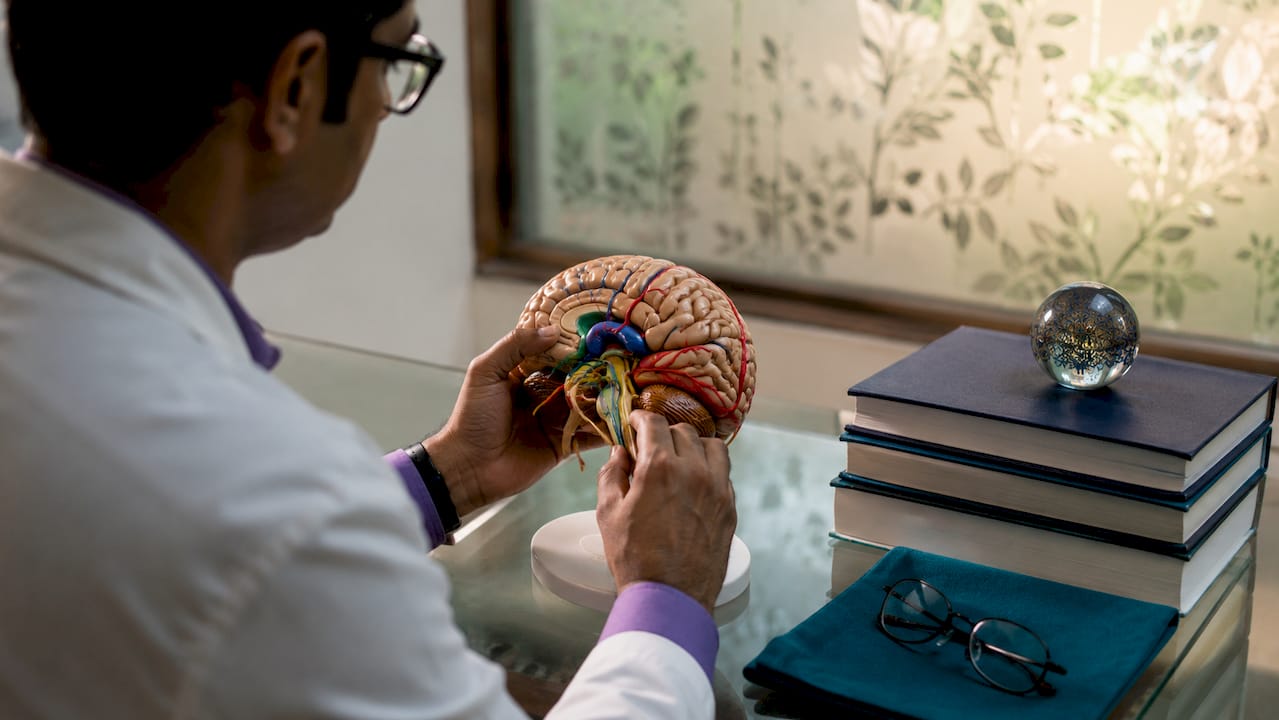 Hands showing neuroplasticity on brain model