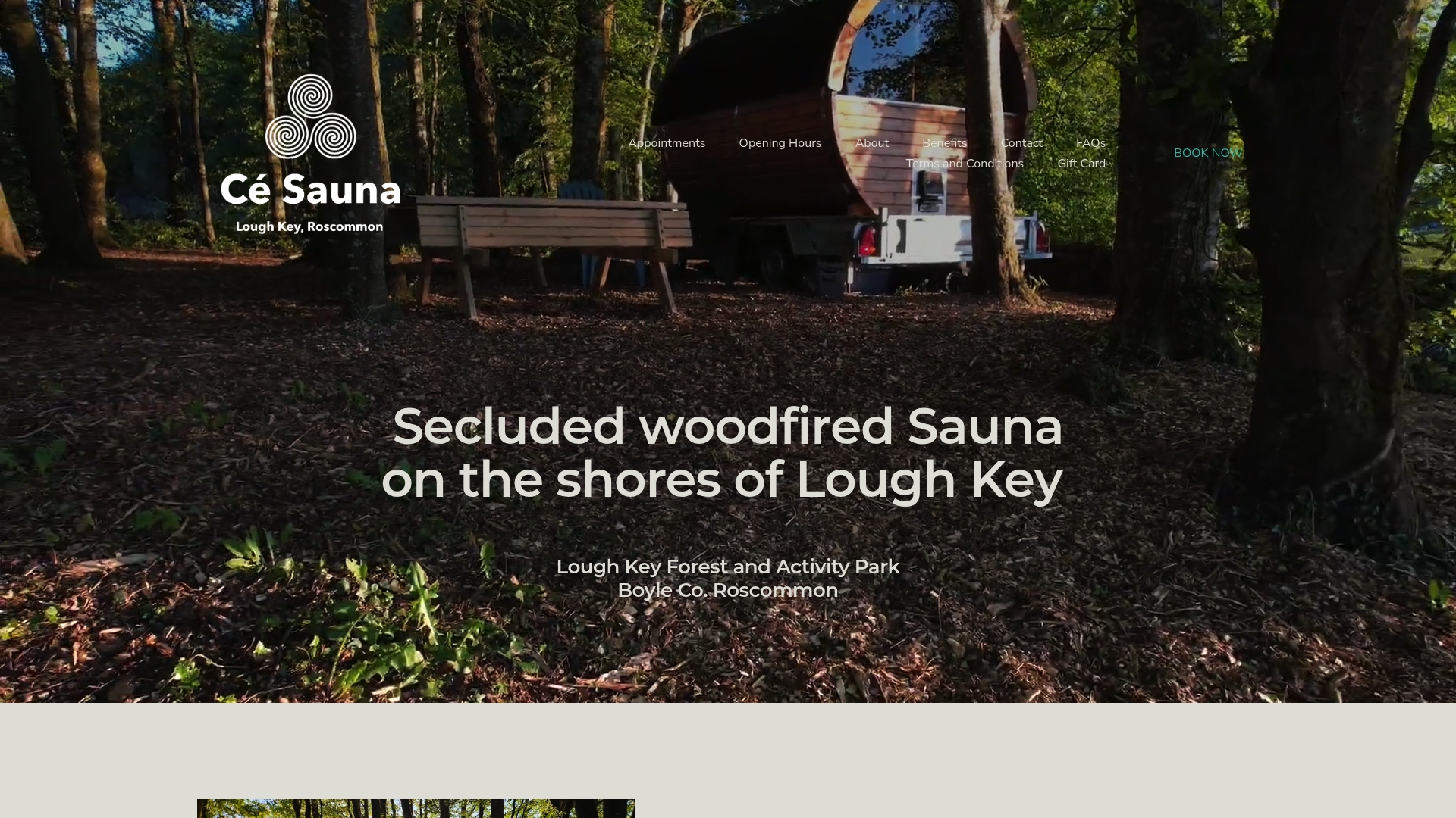 https://cesauna.ie