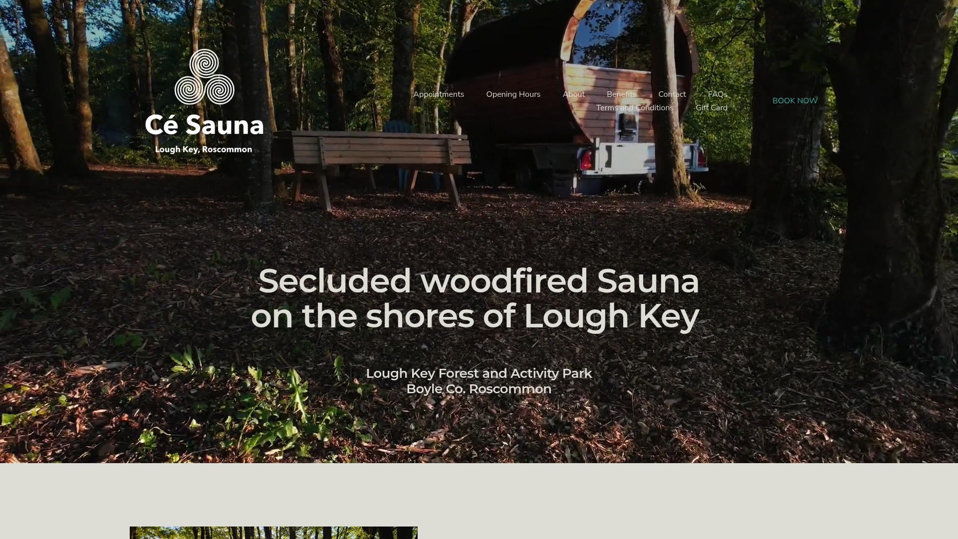 https://cesauna.ie