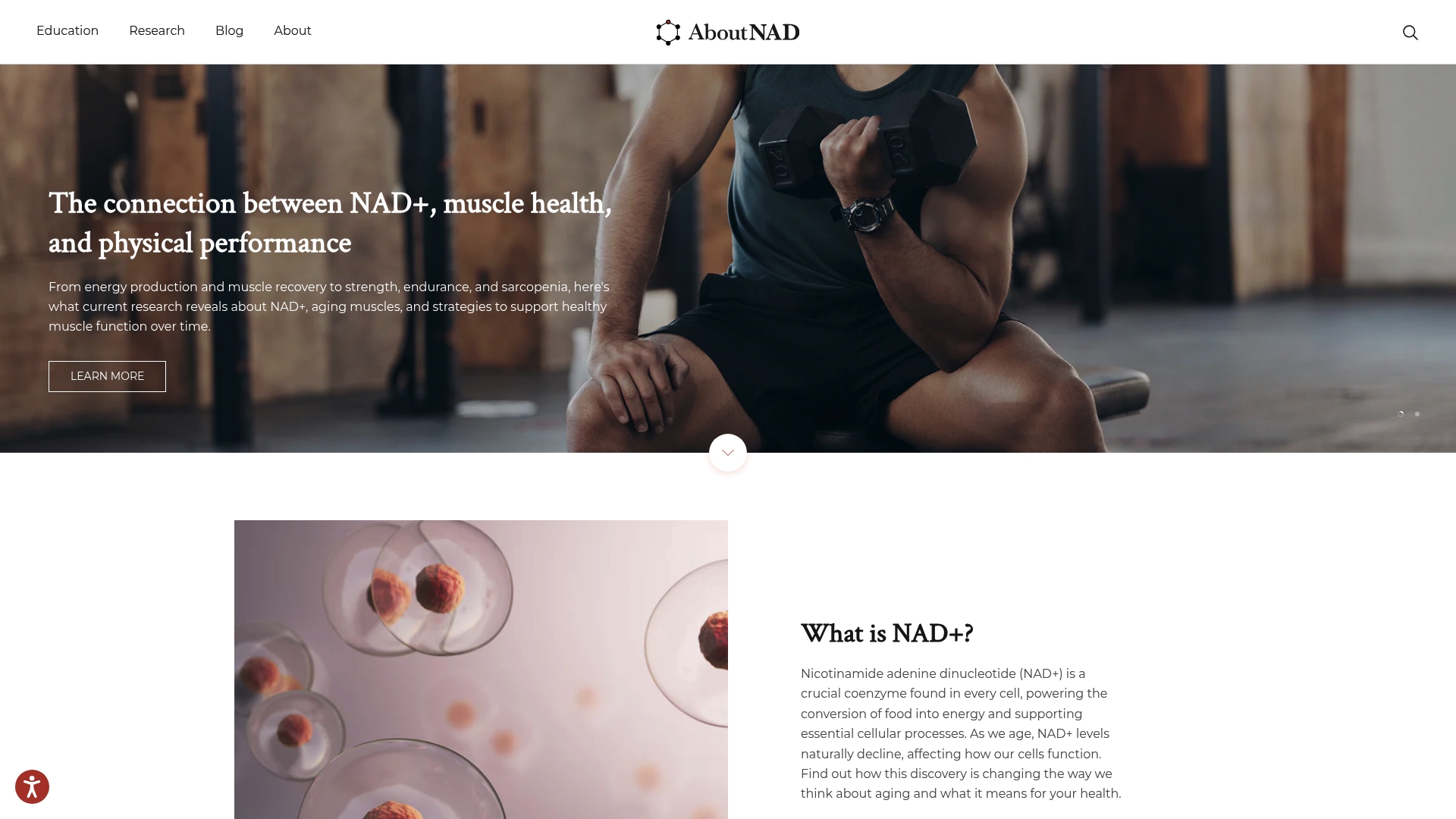https://aboutnad.com