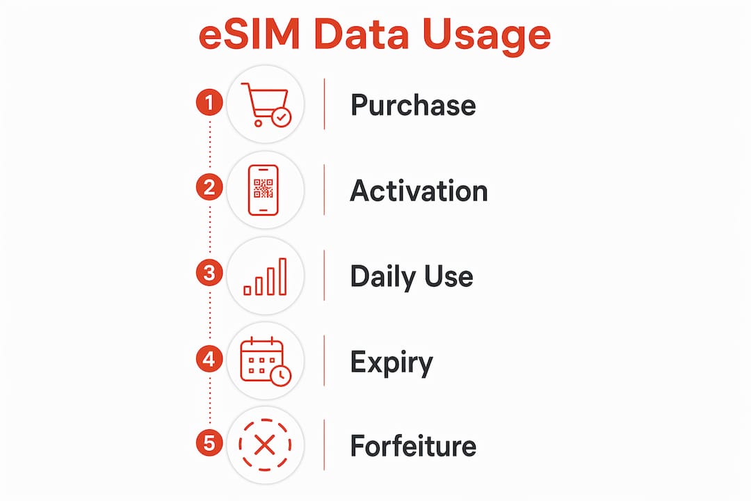 Infographic summarizing eSIM data usage process