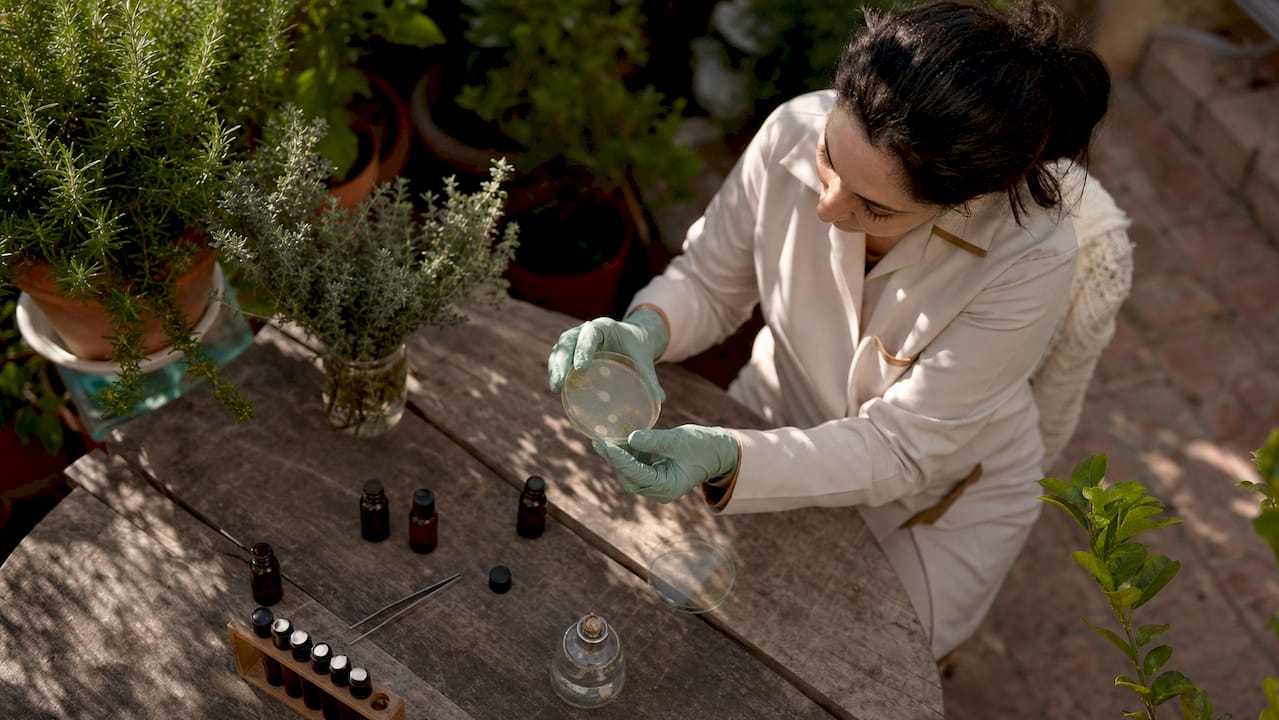 Scientist testing essential oil's antimicrobial effect in lab