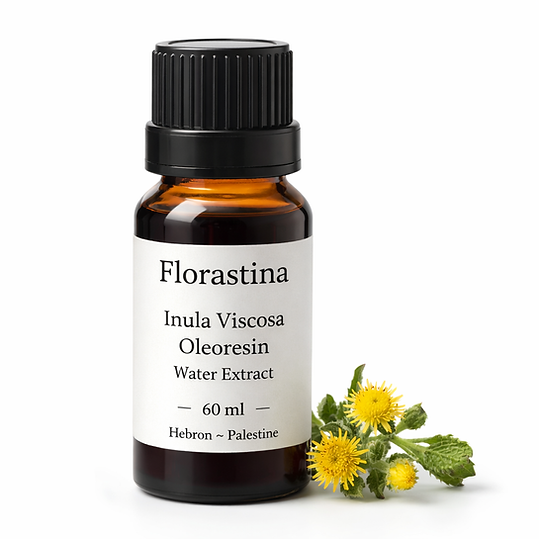 Inula Viscosa Oleoresin (60 ml)