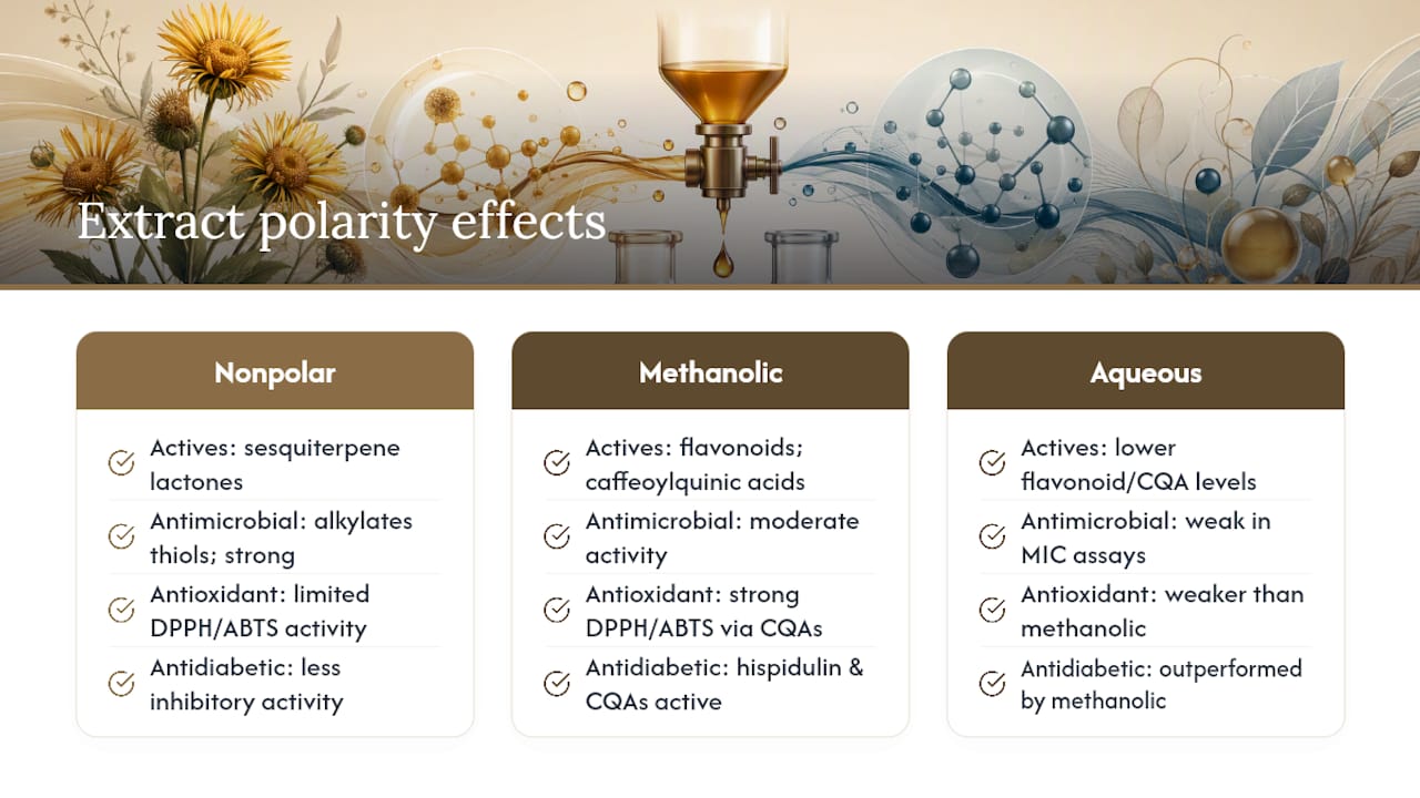 Mechanisms worth knowing — overview diagram