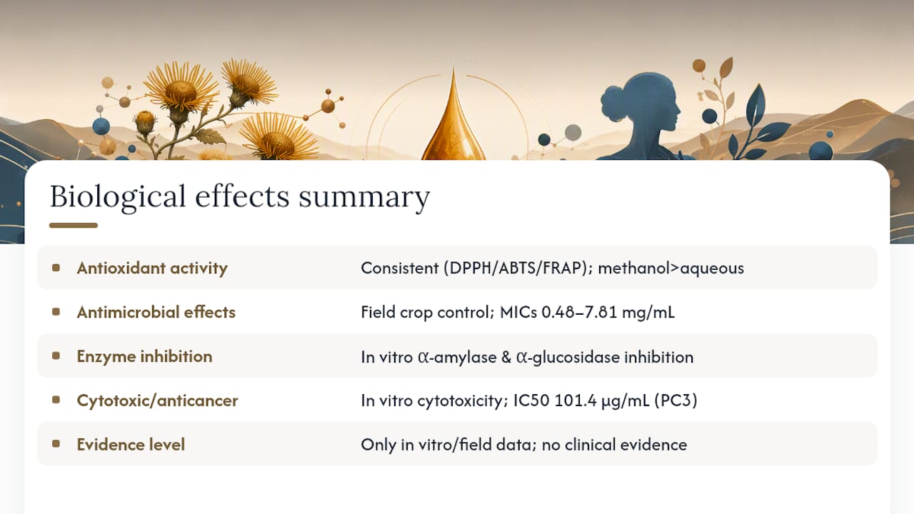 What Do Studies Show About Its Biological Effects? — overview diagram