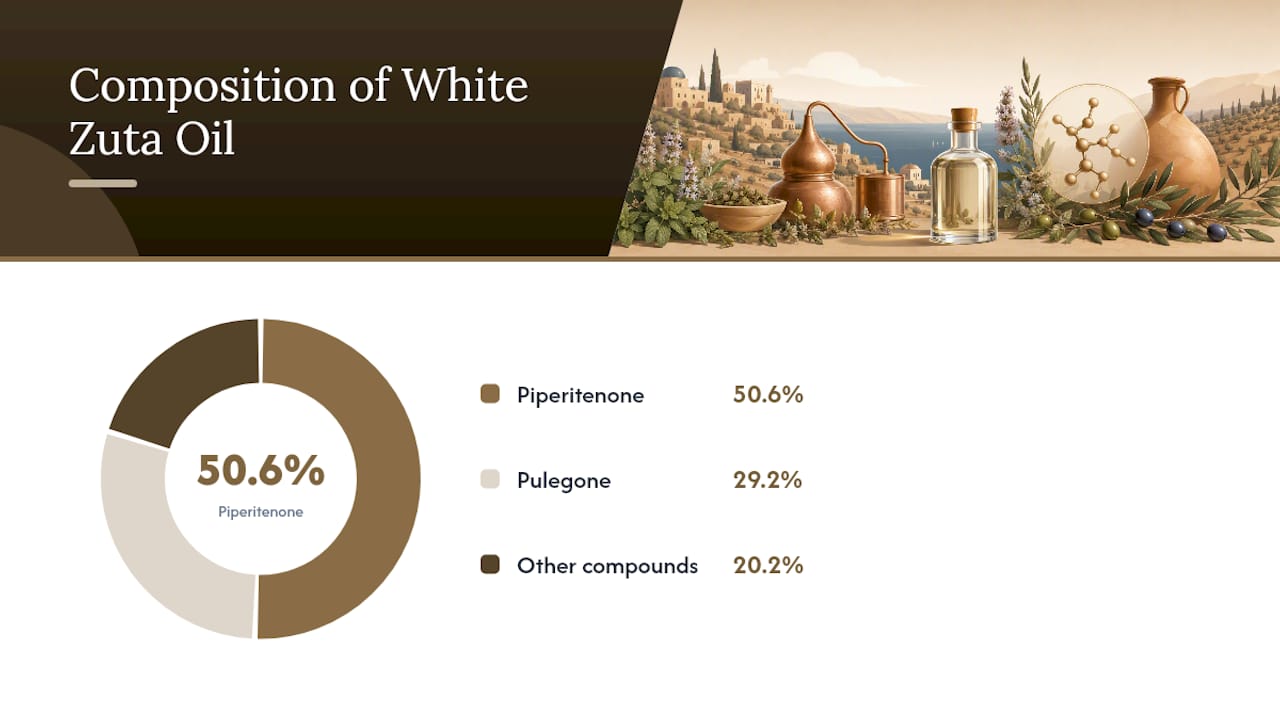 How Is White Zuta Essential Oil Made? — overview diagram