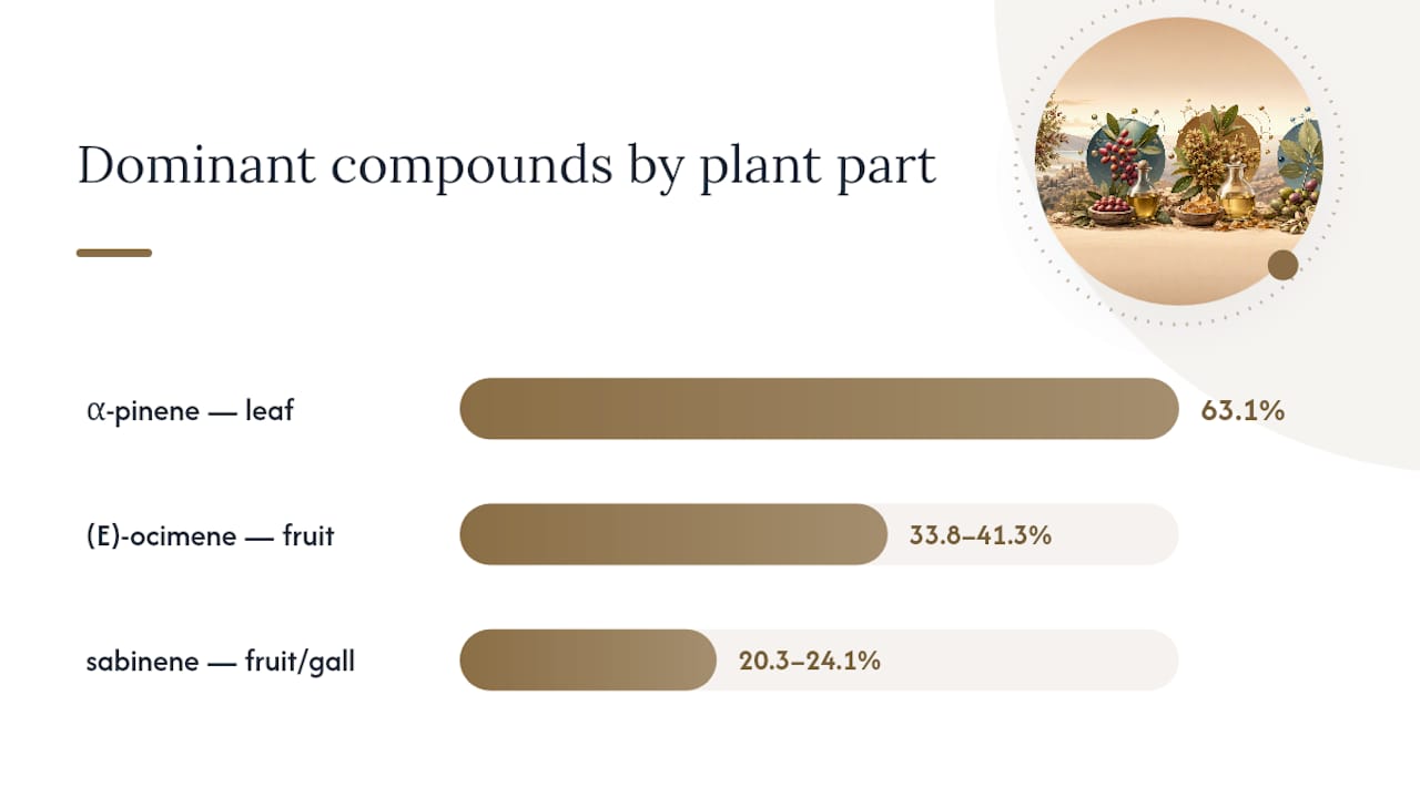 Factors changing Pistacia oil composition