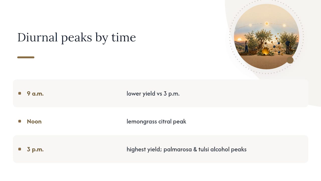 Harvest timing and compound peaks by species