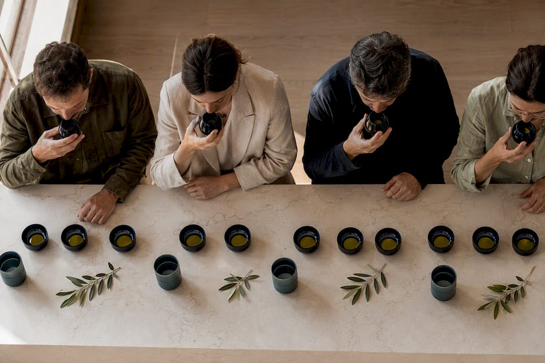Panel sampling olive oil for sensory defects