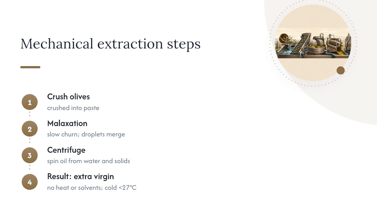 Three stages of mechanical olive oil extraction