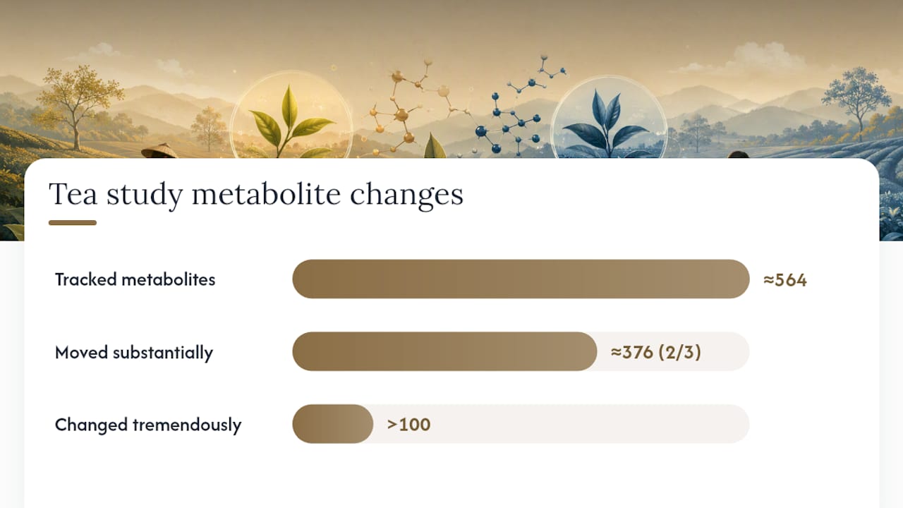Metabolite changes across seasons and elevations