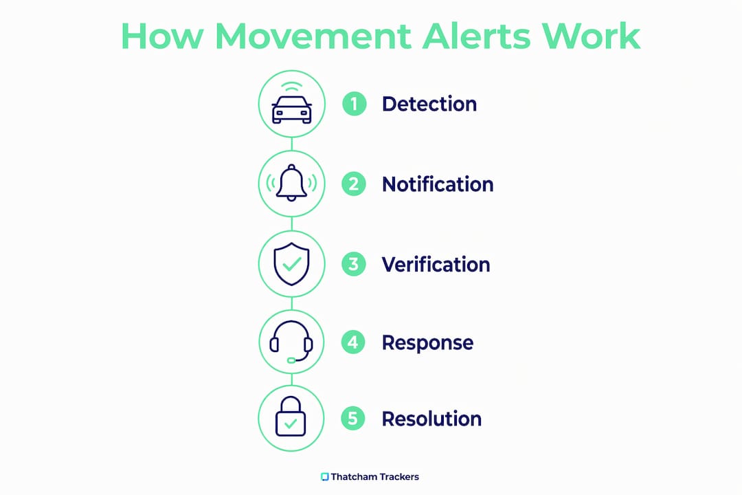 Infographic showing movement alert process steps