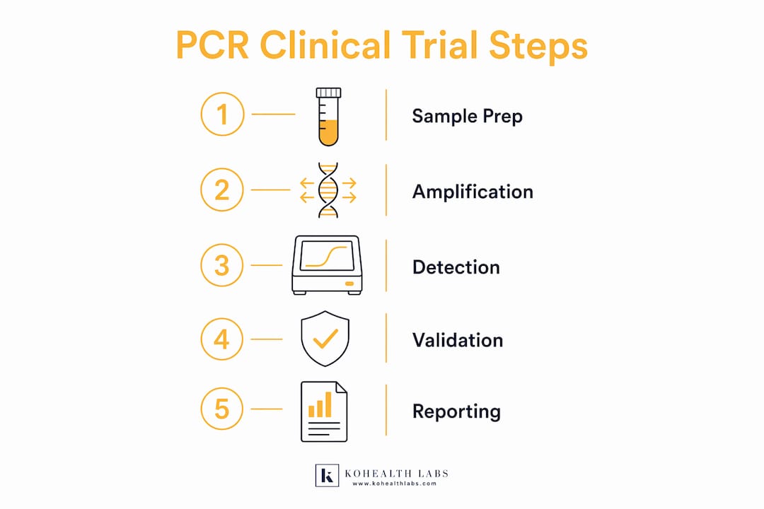 Infographic illustrating PCR testing stages in clinical trials
