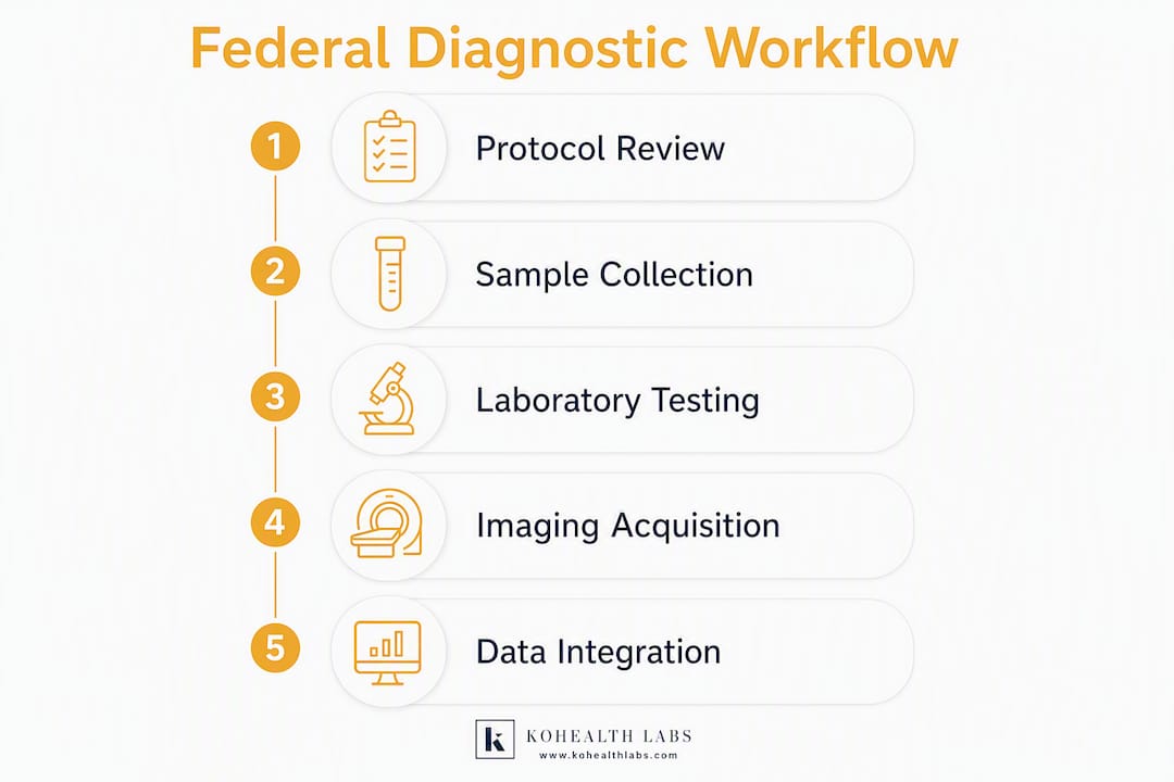 Infographic illustrating federal diagnostic workflow stages
