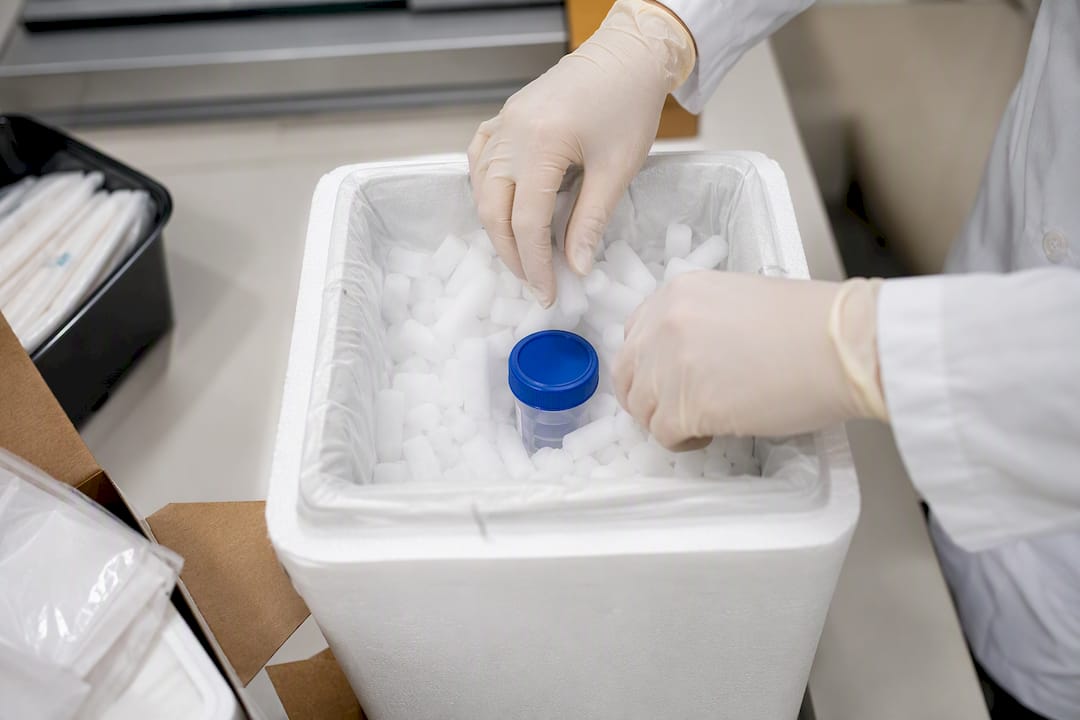 Hands placing dry ice surrounding specimen container