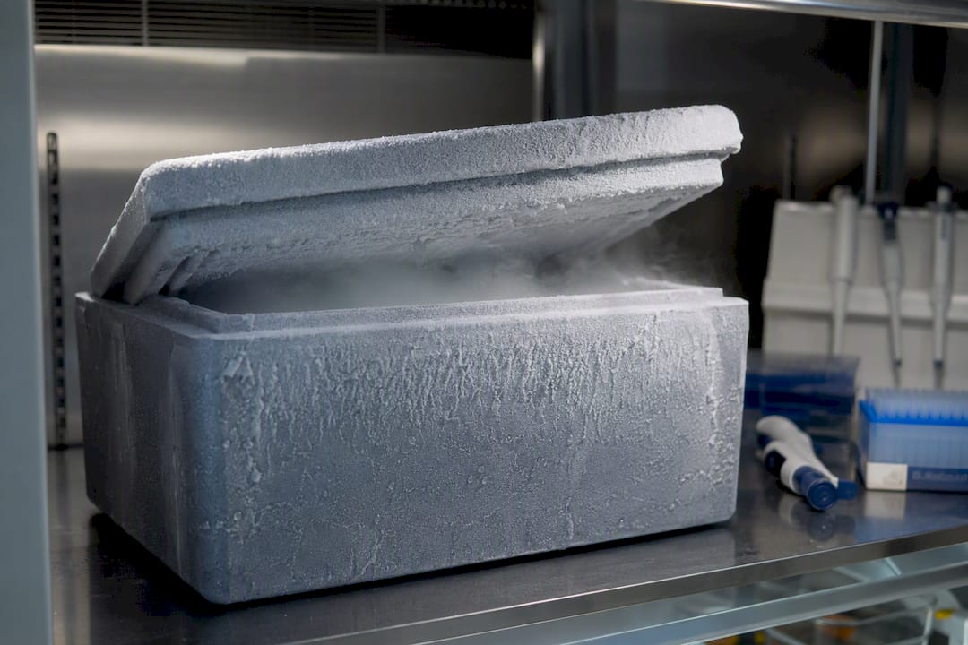 Insulated container pre-chilling in lab refrigerator