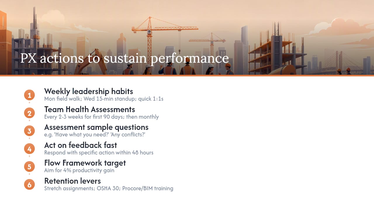 What does a Project Executive actually do to sustain high performance? — overview diagram