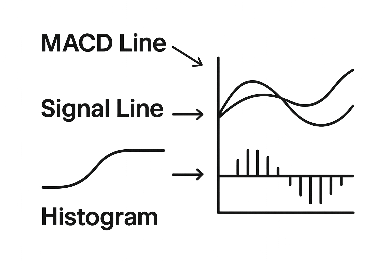 Visual comparison of MACD Line, Signal Line, and Histogram