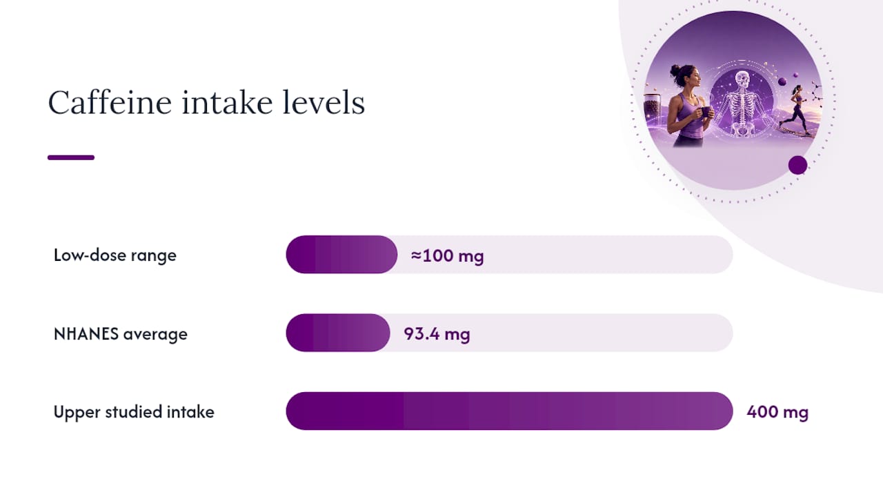 What the Epidemiology Shows About Caffeine and Bone Density — overview diagram
