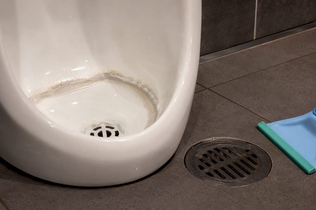 Mineral scale near restaurant restroom drain