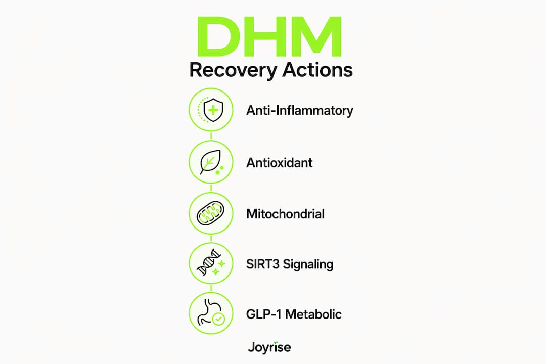 Infographic showing DHM's exercise recovery mechanisms in steps