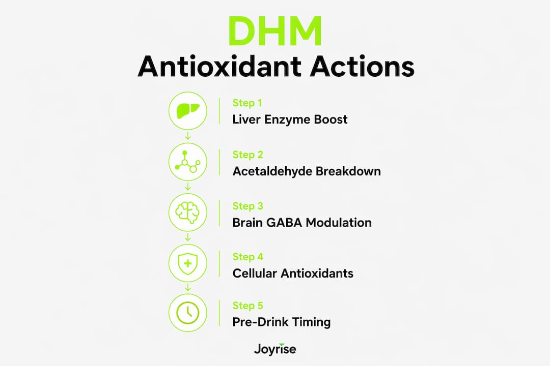 Infographic showing DHM antioxidant action steps