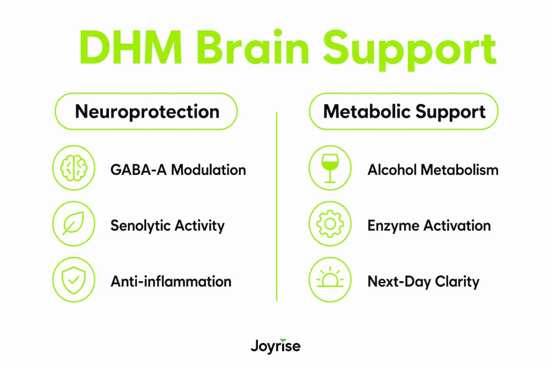 Infographic comparing DHM's neuroprotective and metabolic support mechanisms