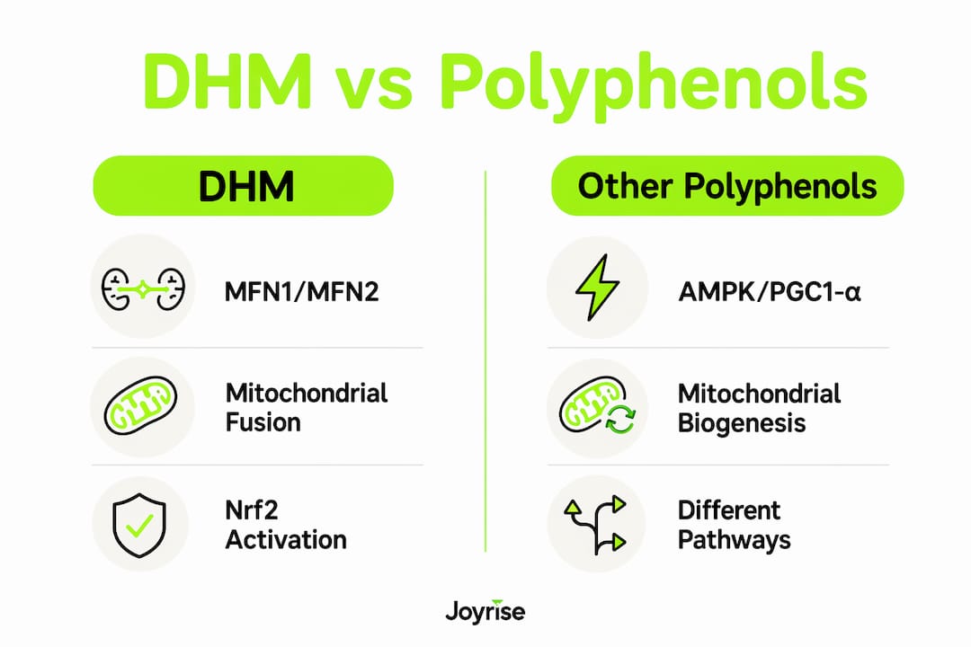 Infographic comparing DHM and other polyphenols