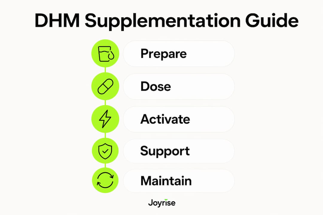 Infographic showing stages of DHM supplementation and benefits