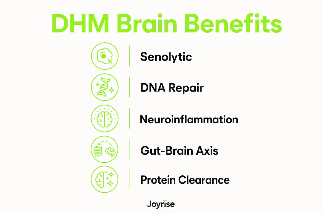 Infographic illustrating key mechanisms of DHM cognitive support
