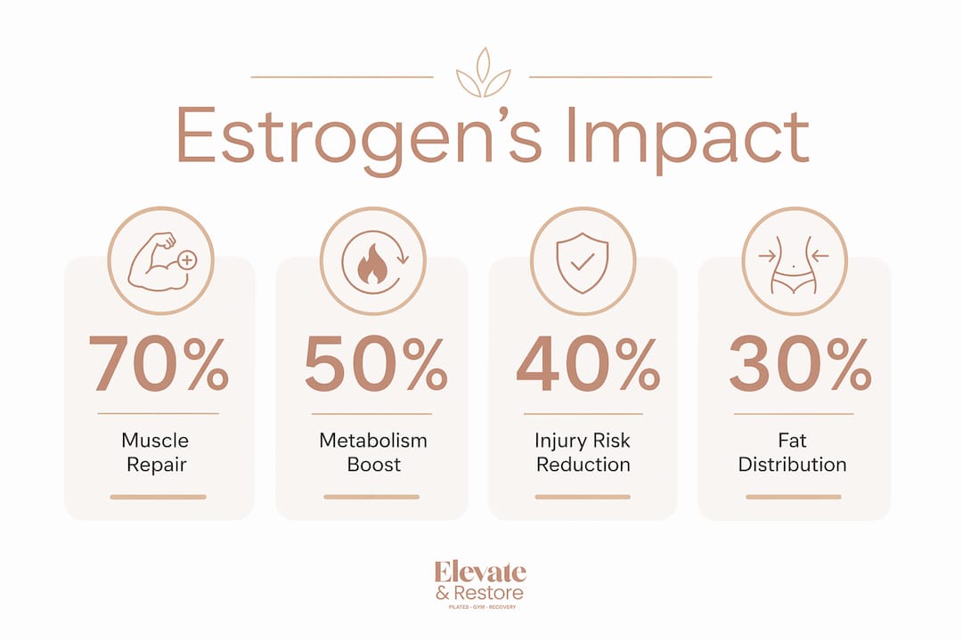 Infographic illustrating estrogen effects on fitness