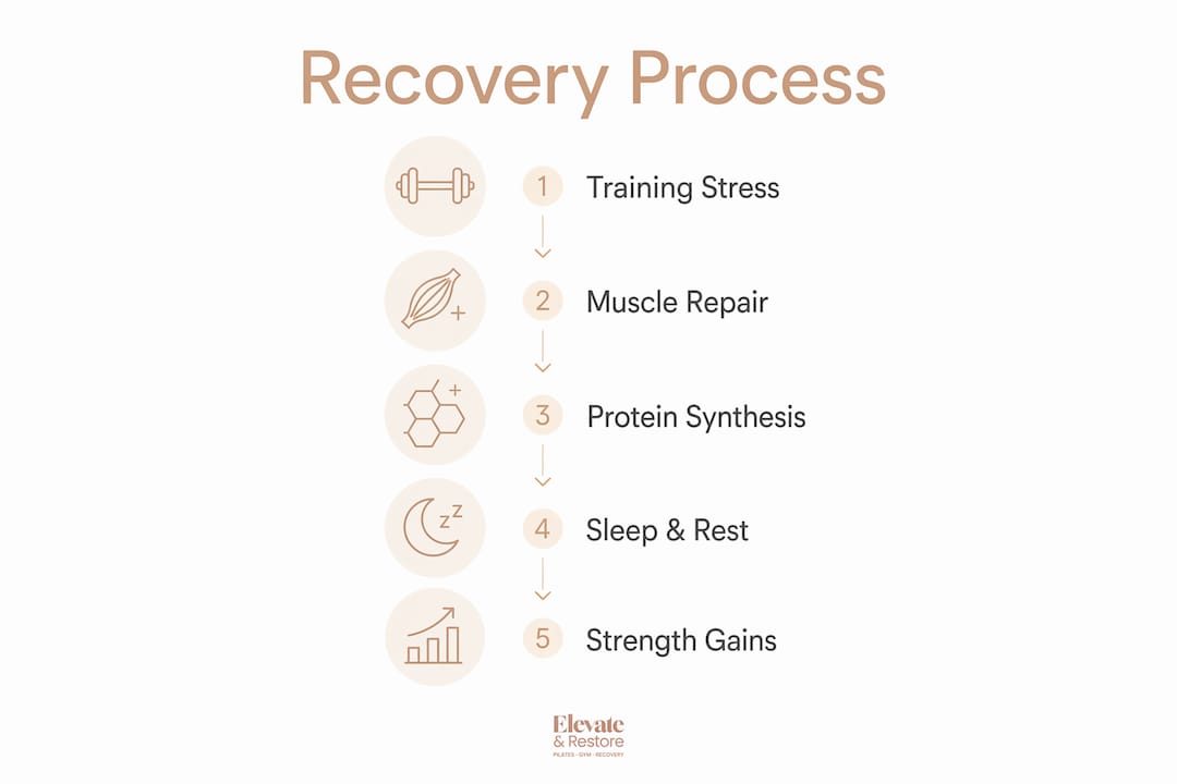 Infographic illustrating stages of strength recovery process