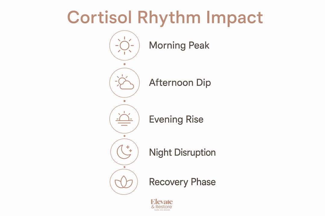 Infographic showing cortisol rhythm stages