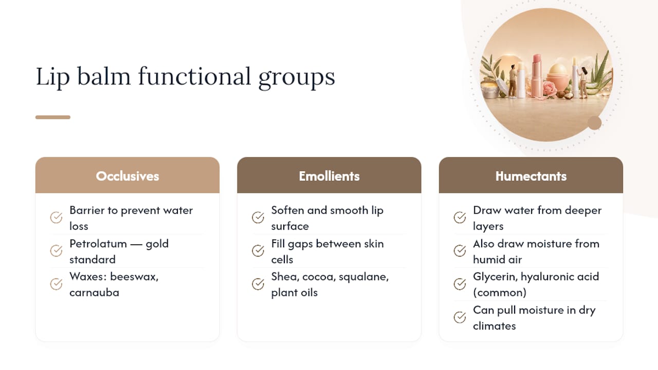 Diagram of lip balm ingredients by function