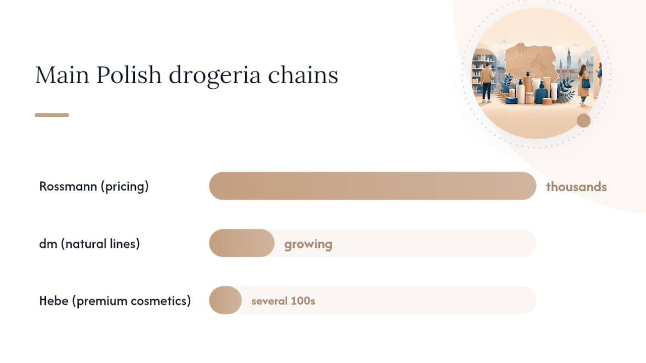 Comparison chart of main Polish drogeria chains